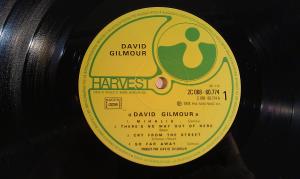 David Gilmour (10)